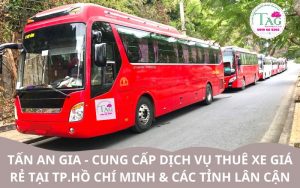 Tấn An Gia cung cấp dịch vụ cho thuê xe giá rẻ tại TP.Hồ Chí Minh và các tỉnh lân cận