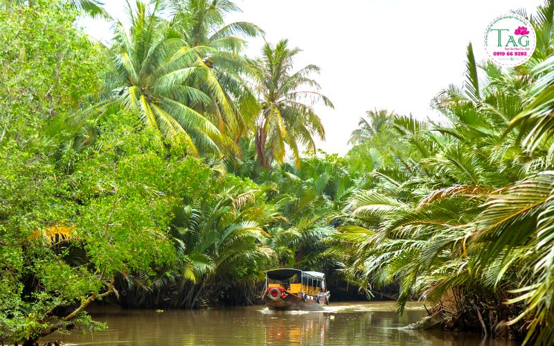 Bến Tre- Xứ sở rừng dừa